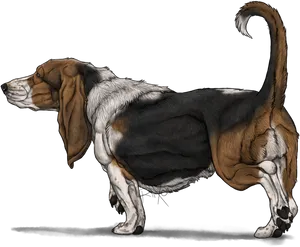 Basset Hound Illustration PNG Image