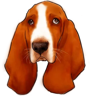 Basset Hound Portrait Illustration PNG Image