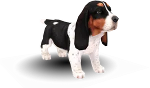 Basset Hound Puppy Standing PNG Image