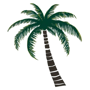 Beach Palm Silhouette Png Fut PNG Image