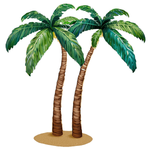 Beach Palm Tree PNG fjw PNG image with transparent background