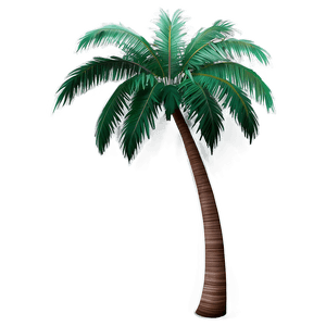 Beach Palm Tree PNG jta1 PNG image with transparent background