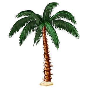Beach Palm Tree PNG xgx PNG image with transparent background