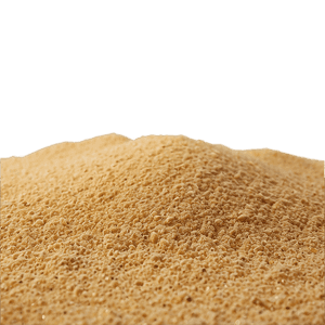 Beach Sand PNG kid PNG image with transparent background