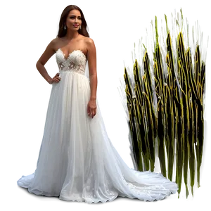 Beach Wedding Dresses Png Nnf PNG Image