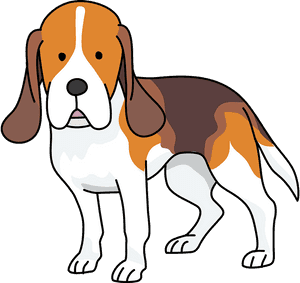 Beagle Dog Clipart - Beagle-harrier, HD Png Download PNG image with transparent background
