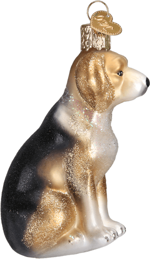 Beagle, HD Png Download PNG image with transparent background