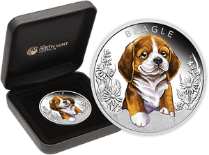 Beagle Png , Png Download - Silver Beagle Coin, Transparent Png PNG image with transparent background