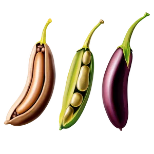 Bean Pod Clipart Png Ojf PNG Image