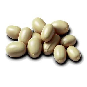 Beans Can Illustration Png 84 PNG Image