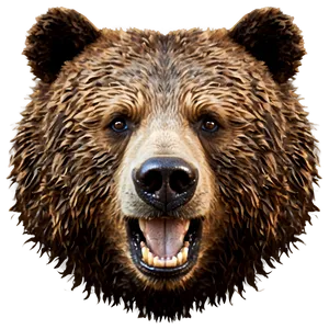 Bear Face C PNG Image