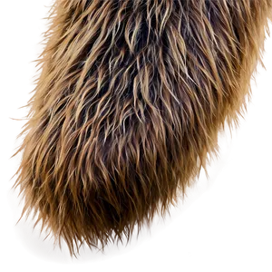 Bear Fur Texture Png 28 PNG Image