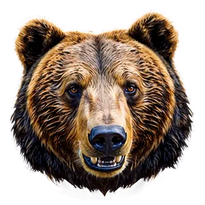 Bear Head A PNG Image