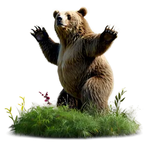 Bear In Forest Png Wrx52 PNG Image