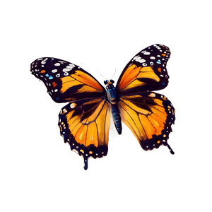 Beautiful Butterflies PNG gxn61 PNG image with transparent background