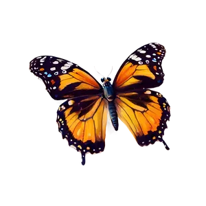 Beautiful Butterflies Png Gxn61 PNG Image