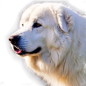 Beautiful Great Pyrenees In Snow Png Rnm PNG Image