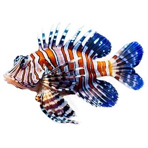 Beautiful Lionfish Png 2 PNG Image