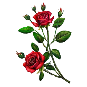 Beautiful Red Roses Png 59 PNG Image