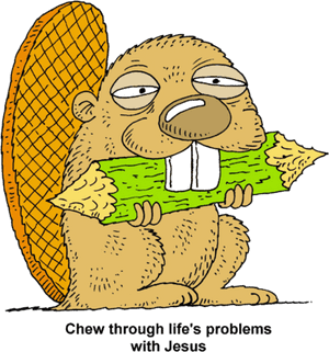Chew Through - Beaver Chewing Wood Gif PNG image with transparent background