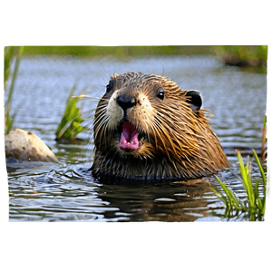 Beaver in Natural Habitat PNG 2 PNG image with transparent background