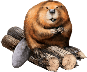 Beaver Png PNG image with transparent background
