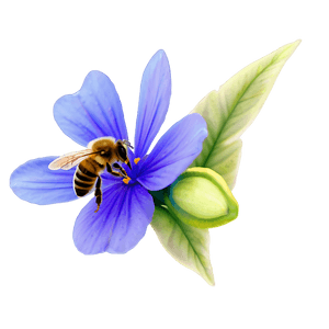 Bee Pollinating Flower PNG 06112024 PNG