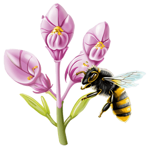 Bee Pollinating Flower PNG cmw42 PNG