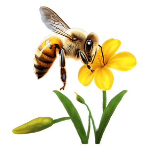 Bee Pollinating Flower PNG gld PNG