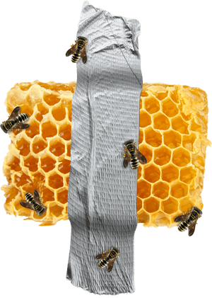 Transparent Honeycomb Clipart Black And White - Fondos Paul Frank, HD Png Download PNG image with transparent background