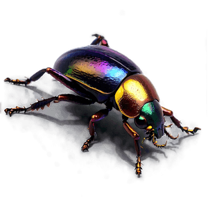 Beetle Crawling PNG meu31 PNG