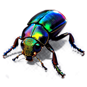 Beetle Crawling PNG yns PNG