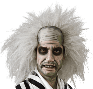 Beetlejuice Wig - Beetlejuice Costume PNG image with transparent background