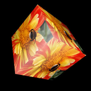 Beetleson Flowers Cube PNG image with transparent background