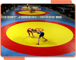 Before - Wrestling On Mats, HD Png Download PNG image with transparent background