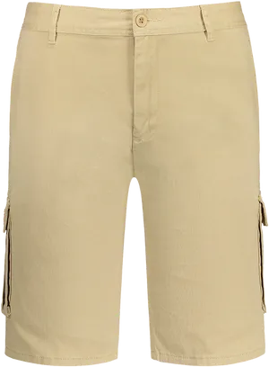 Beige Bermuda Shorts Product View PNG Image