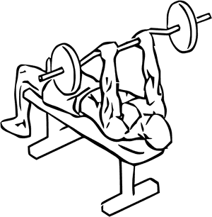 Bench Press Exercise Illustration PNG image with transparent background