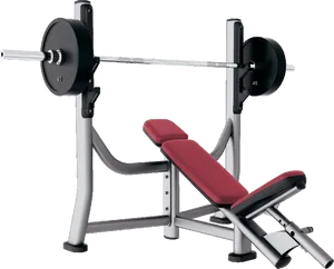 Bench Press Station Professional Gym Equipment PNG Image