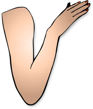 Bent Arm Illustration.png PNG Image