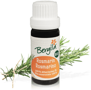 Different Types Of Rosemary Plants, HD Png Download PNG with transparent background