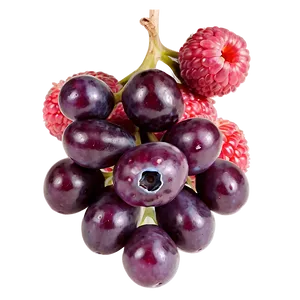 Berries D PNG Image