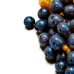 Berries Macro Shot PNG 06122024 PNG image with transparent background
