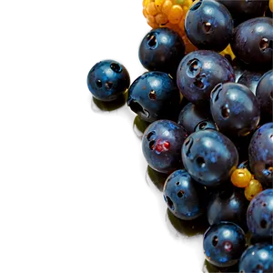 Berries Macro Shot Png 06122024 PNG Image