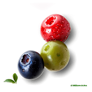 Berries Macro Shot PNG wru PNG image with transparent background