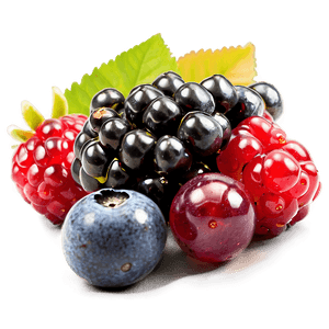 Berries with Honey PNG 06122024 PNG image with transparent background