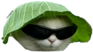 Big Gay Memes Dankmemes Dankmeme Idubbbz Fuckyou - Cat With Sunglasses And Hat, HD Png Download PNG image with transparent background