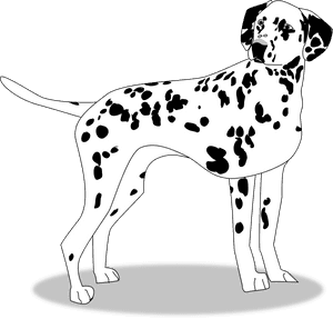Big Image Png - Dalmatian, Transparent Png PNG image with transparent background