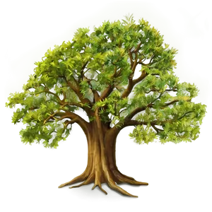 Big Tree B PNG Image