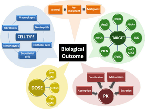 Diagram, HD Png Download PNG image with transparent background