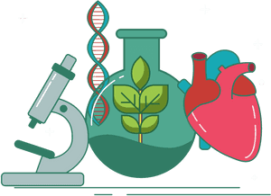 Thumb Image - Biology Images Png, Transparent Png PNG image with transparent background